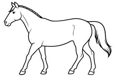 Elegant Horse Sketch Vector Image