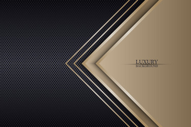 abstract luxury triangles overlapping on dark vector image