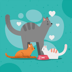 Cats mascots with hearts vector