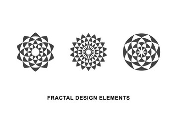 Circular Fractal Patterns vector image