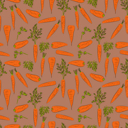 a set of seamless background with carrot line vector image
