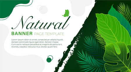 Nature background with copy space for text vector