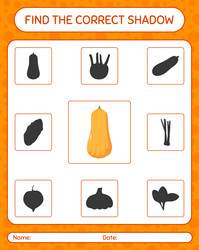 find the correct shadows game with squash vector image