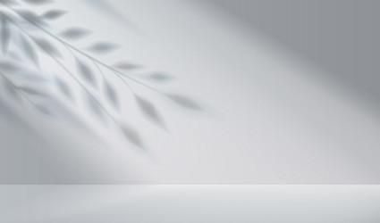 space with shadow from plant on wall scene vector image