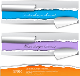 torn paper banners with space for text vector image