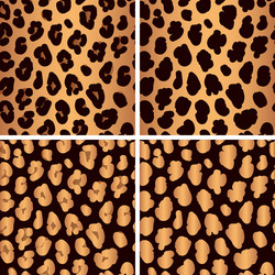 Leopard Print Pattern vector image
