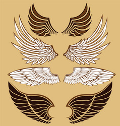 Wing Vector Images (over 390,000)