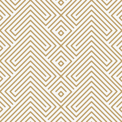 geometric seamless pattern with line modern vector image