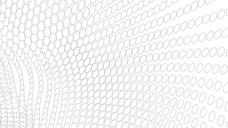 wireframe landscape on white background abstract vector image