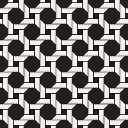 Intricate Lattice Pattern vector image