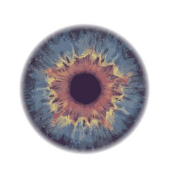Eye iris vector