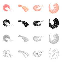isolated object of appetizer and ocean symbol set vector image