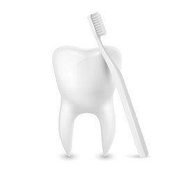 3d realistic toothbrush and tooth closeup vector