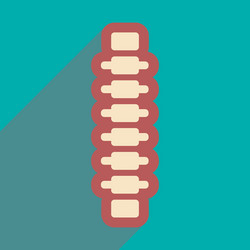 Flat icon with long shadow human spine vector