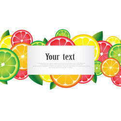 citrus fruits ornament frame with space for text vector image