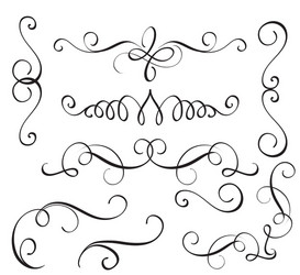 Elegant Swirl Calligraphic Elements vector image