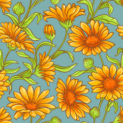 Calendula flower pattern Royalty Free Vector Image