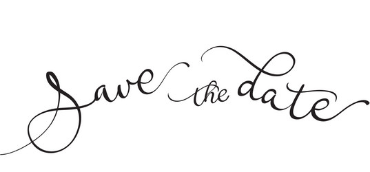 save the date text on white background vector image
