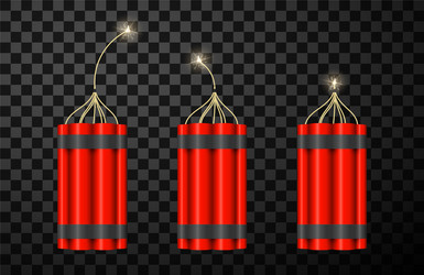 Realistic tnt dynamite sticks with burning fuse Vector Image