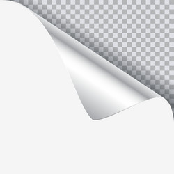page curl with shadow on blank sheet of paper vector image