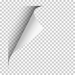 page with upper left curl shadow on blank vector image
