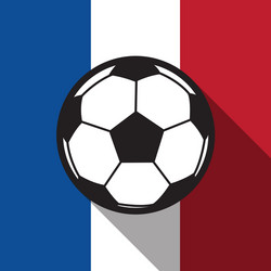 Soccer Ball with French Flag Vector Image