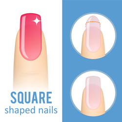 nail shape square vector