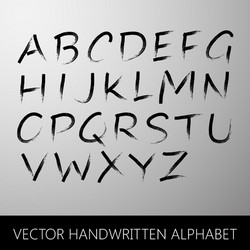 Handwritten alphabet calligraphic brushed letters vector