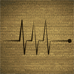 heart rhythm flat modern web button and space vector image