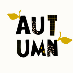 typographic autumn design vector