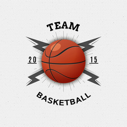 Basketball Badges & Labels Vector Image