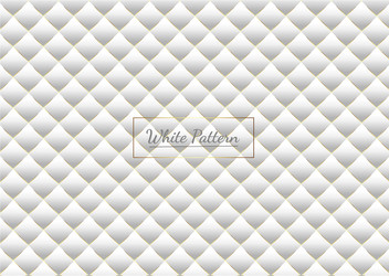 abstract white and gray subtle lattice pattern vector image