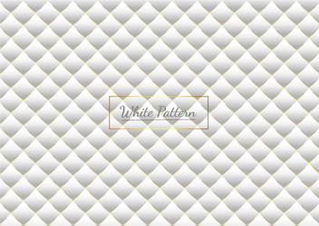 abstract white and gray subtle lattice pattern vector