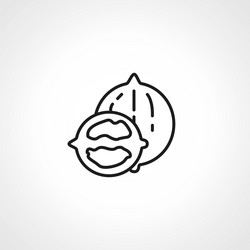 walnut line icon web linear vector image