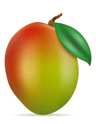 Realistic ripe mango fruit with leaf Royalty Free Vector