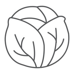 Lettuce line icon vegetable and salad leaf Vector Image