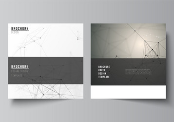 Layout of two square format covers vector