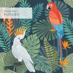 seamless tropical pattern with cockatoo macaw vector