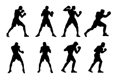 boxer silhouette Vector Image