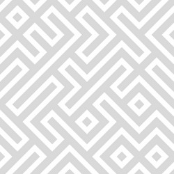 Light Hatching Pattern vector image