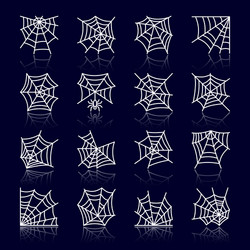 spider web white line with reflection icon set vector image