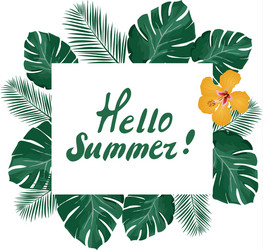 Tropical Summer Card Vector Image