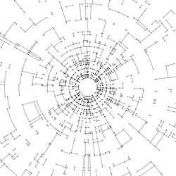connecting lines and dots on white background vector image