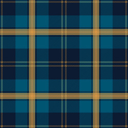 blue orange tartan plaid pattern vector