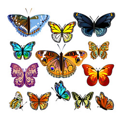 Colorful Butterfly Collection Vector Image