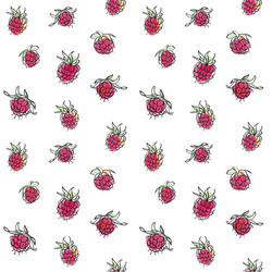 Raspberry Seamless Pattern vector image