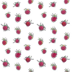 raspberry seamless pattern vector