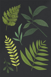 green leaf design element set on a gray background vector image