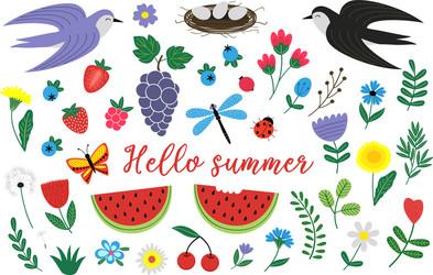 Different bugs set insects summer species Vector Image