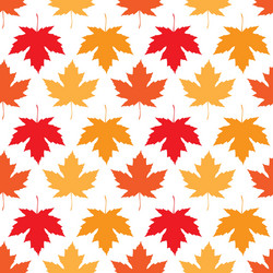 Seamless wallpaper autumn maple leaves vector